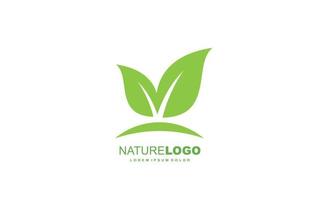 Leaf logo design inspiration. Vector template design for brand.