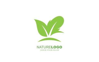 Leaf logo design inspiration. Vector template design for brand.