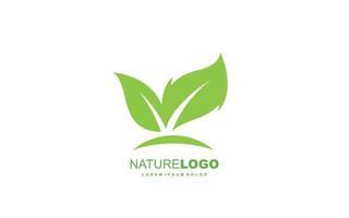 Leaf logo design inspiration. Vector template design for brand.