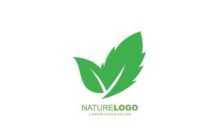 Leaf logo design inspiration. Vector template design for brand.