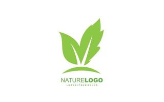 Leaf logo design inspiration. Vector template design for brand.
