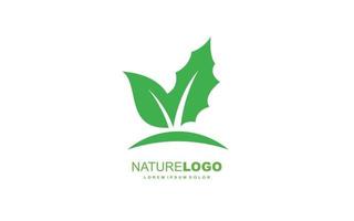 Leaf logo design inspiration. Vector template design for brand.