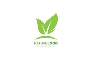 Leaf logo design inspiration. Vector template design for brand.
