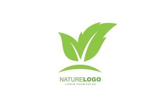 Leaf logo design inspiration. Vector template design for brand.