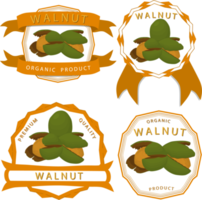 big set different types walnut in nutshell png