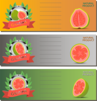 zoet sappig smakelijk natuurlijk eco Product guava png