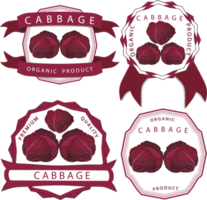 Sweet juicy tasty natural eco product cabbage png