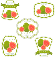 zoet sappig smakelijk natuurlijk eco Product guava png