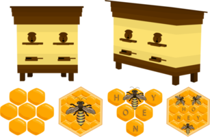 bijenkorf verschillend grootte voor bijen honingraat png