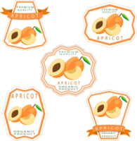 Sweet juicy tasty natural eco product apricot png