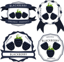 Sweet juicy tasty natural eco product blackberry png