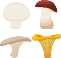 Sweet juicy tasty natural eco product mushrooms png