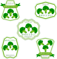 Sweet juicy tasty natural eco product broccoli png