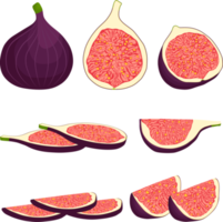 Sweet juicy tasty natural eco product fig png