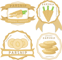 Sweet juicy tasty natural eco product parsnip png
