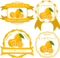 Sweet juicy tasty natural eco product kumquat png