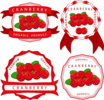 Sweet juicy tasty natural eco product cranberry png