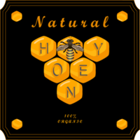 Various sweet tasty natural honey from honeycomb png