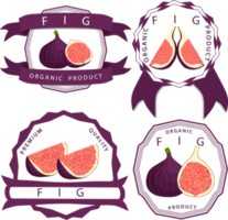 Sweet juicy tasty natural eco product fig png