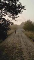 silhouet van een man die over een onverharde weg loopt in de mist video
