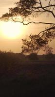 Sonnenaufgang scheint über einer Landschaft aus Feldern und Bäumen video