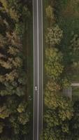 vue aérienne de routes parallèles dans un paysage herbeux video