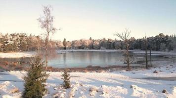 sole brillare attraverso il lago e fiume nel inverno foresta video