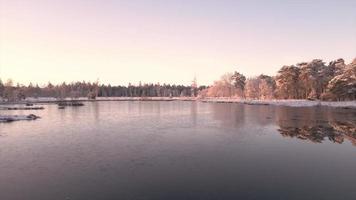 sole brillare attraverso il lago e fiume nel inverno foresta video