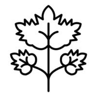 Coriander Icon Style vector