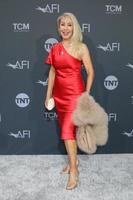 LOS ANGELES  JUN 9  Linda Thompson at the 48th AFI Life Achievement Award Gala Tribute Celebrating Julie Andrews at Dolby Theater on June 9 2022 in Los Angeles CA photo