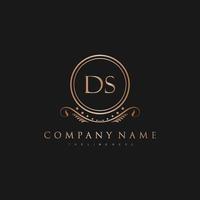 DS Letter Initial with Royal Luxury Logo Template vector