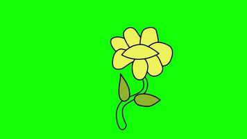 flower blossom icon loop Animation video transparent background with alpha channel.