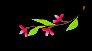 flower leaf icon loop Animation video transparent background with alpha channel.