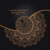 luxury ornamental mandala design vector