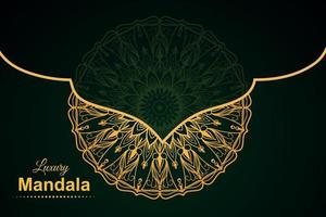 Luxury mandala background design vector