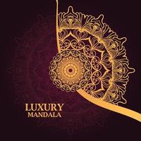 luxury ornamental mandala design background vector