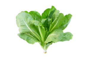 Green vegetables isolated on a transparent background png