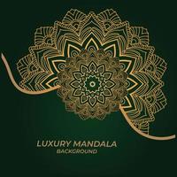 luxury ornamental mandala design background vector