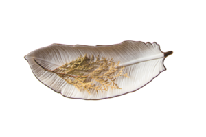 White feather plate and dried leaves isolated on a transparent background png