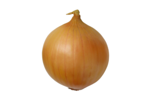 Vegetables onion isolated on a transparent background png