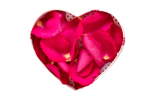 Heart box with red petals of roses isolated on a transparent background png