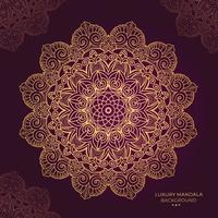 luxury ornamental mandala design background vector