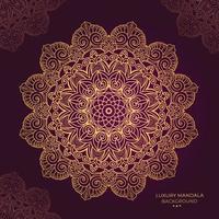 luxury ornamental mandala design background vector