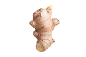 Ginger isolated on a transparent background png