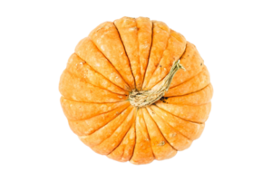 Yellow pumpkin isolated on a transparent background png