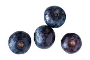 Blau Brombeeren isoliert auf ein transparent Hintergrund png