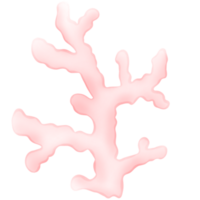 Cute Coral, coral illustration, sea plant, plant png