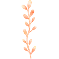 Plant, Sea plant, Seaweed, Sea life illustration png