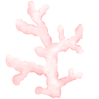 linda coral, coral ilustración, mar planta, planta png