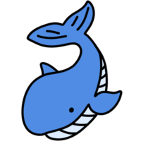 Cute whale, whale illustration, sea creature png